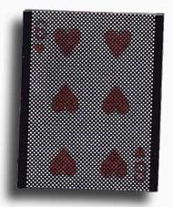 ILLUSIONARY CARD SLEEVE - WOW!