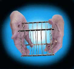 ZMIZENÍ KLECE - VANISHING BIRD CAGE