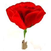 Match to Rose by Mr. Magic - Trick