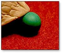 Perfect Peas (Green) by Whit Hayden and Chef Anton's School for Scoundrels