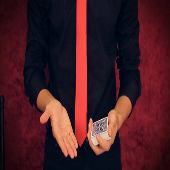 Flawless by Shin Lim video DOWNLOAD